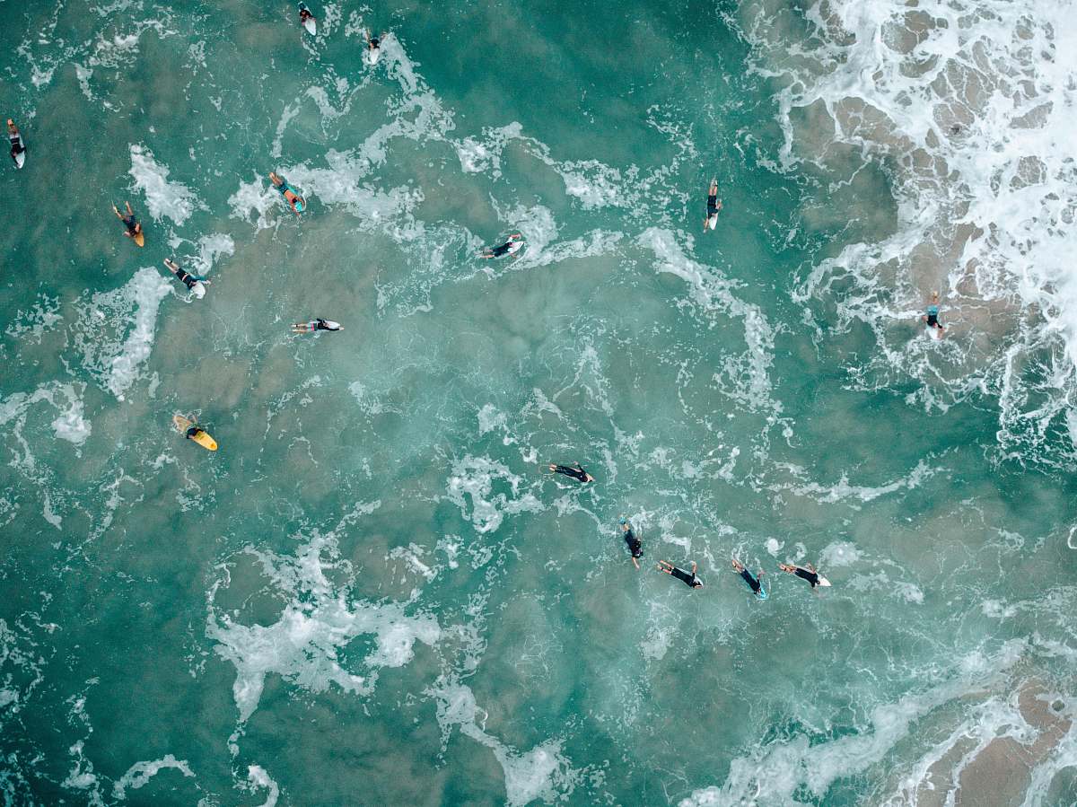 australia aerial view of body of water sea life